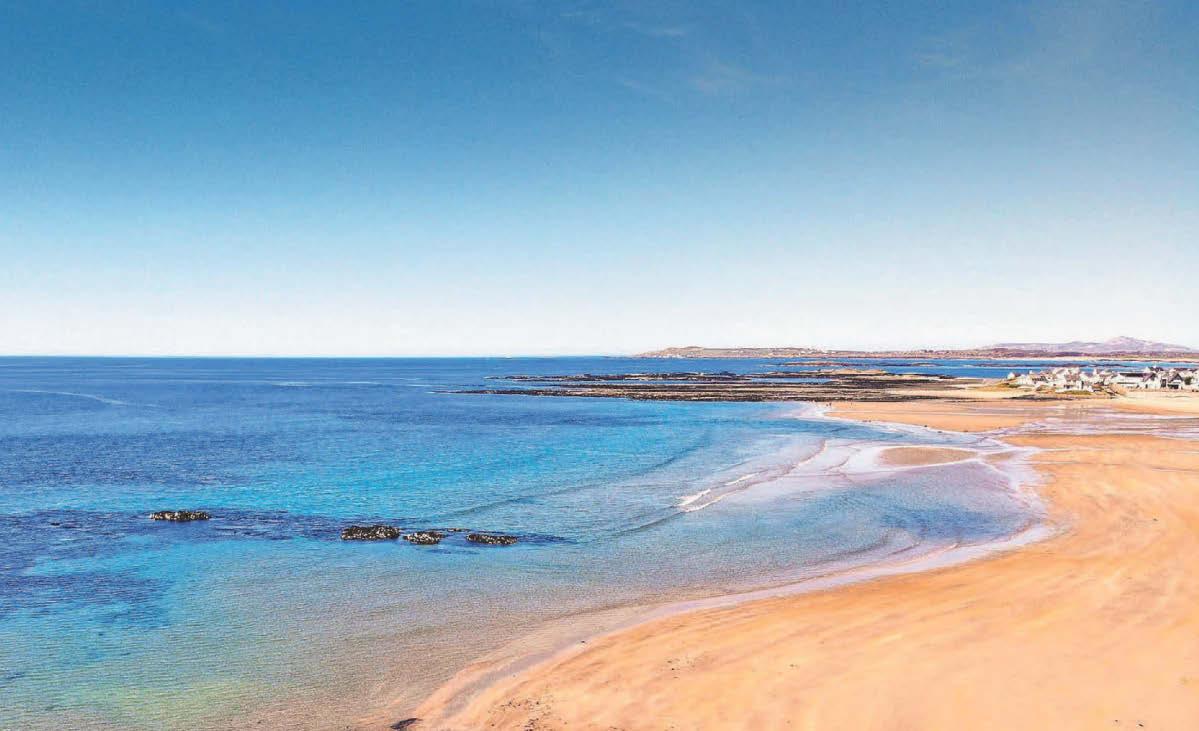 'Scrap visitor levy' as tourism struggles