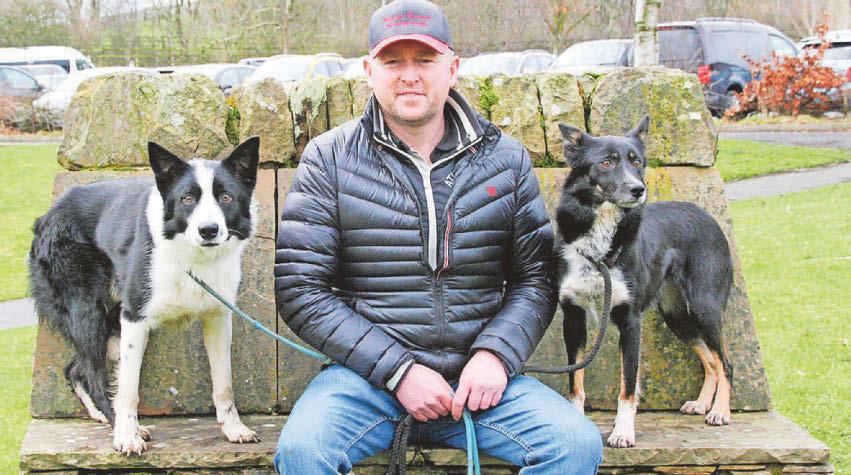 Evans hits double top at sheepdog winter sale