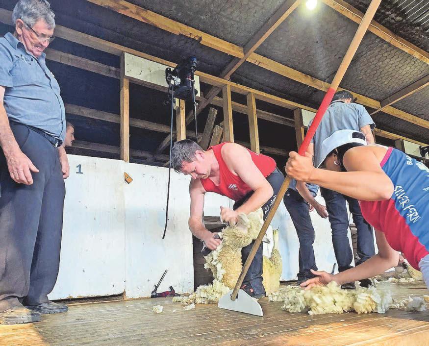 SHEARING WORLD ROCKED BY THEFT