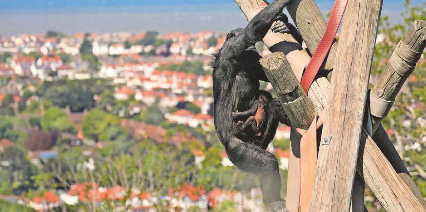 Visitors warned of distressing sight at North Wales zoo