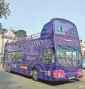 Open-top 'Alice' tours start today