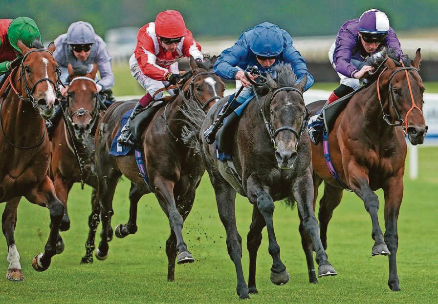 Domini looks set to dominate for Buick and Appleby at HQ