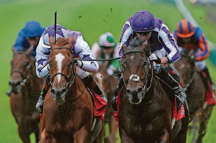 Take Delacroix to restore his reputation in Coral-Eclipse