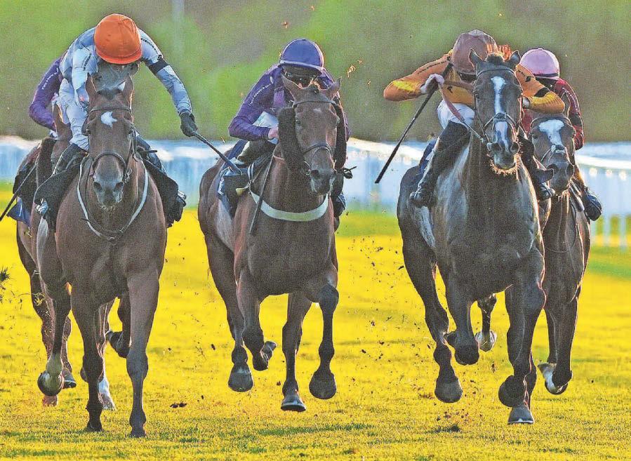 Aeolian is ready to hit target on royal Ayr raid for Haggas