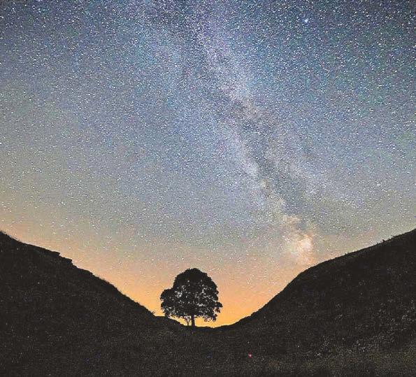 Creative minds urged to ensure Sycamore Gap's legacy endures