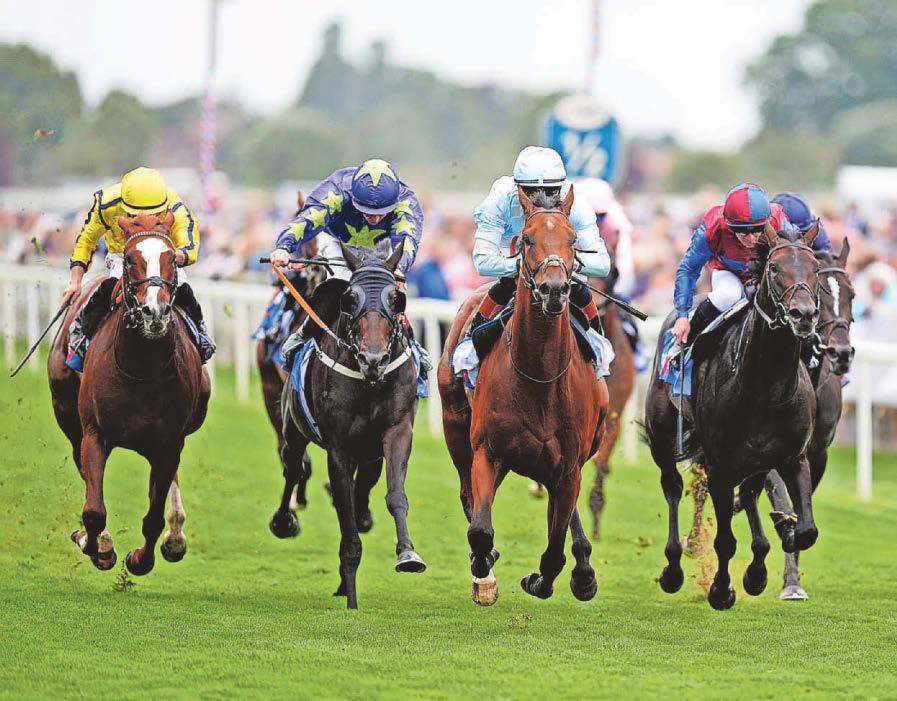 Arabian can prove a Force to be reckoned with for Haggas