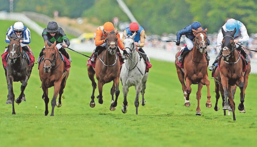 Term Of Endearment is set to resume winning ways at Bath