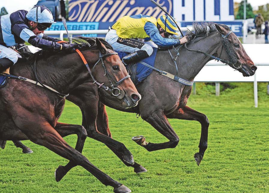 Vintner can Master his rivals for November Handicap win