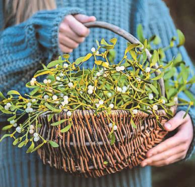 DIY festive foliage that's a real snip