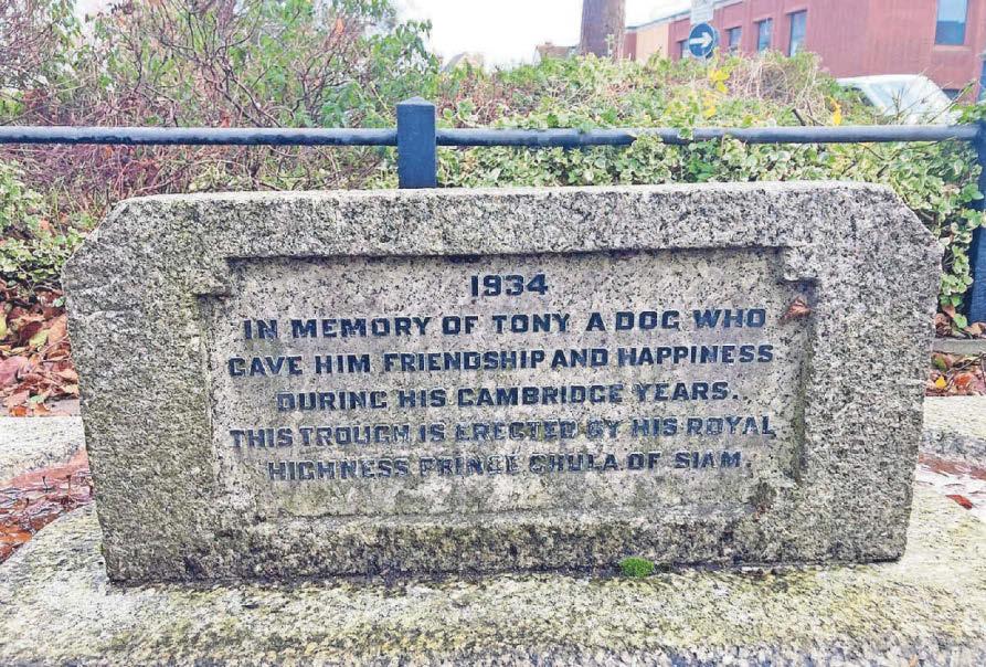 Student prince left behind a tribute to man's best friend