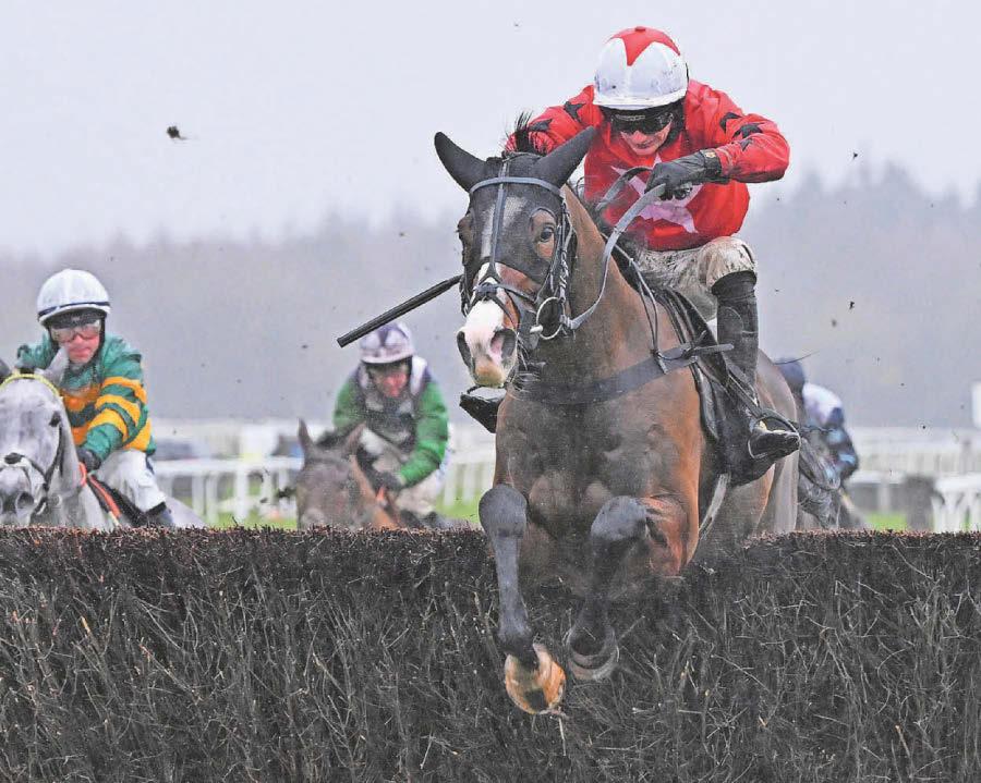 Mask of Zorro can complete five-timer for trainer Tizzard