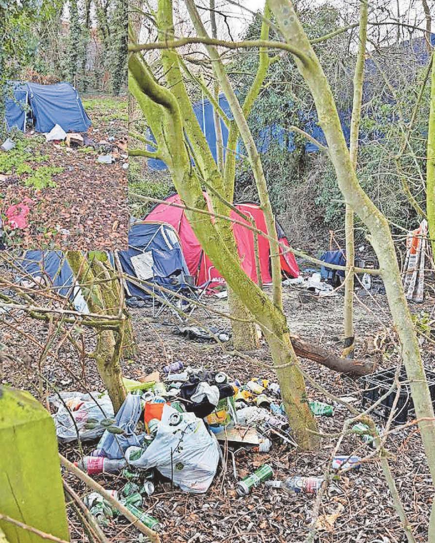 Action calls to clean up 'abandoned' common that has been 'left to rot'