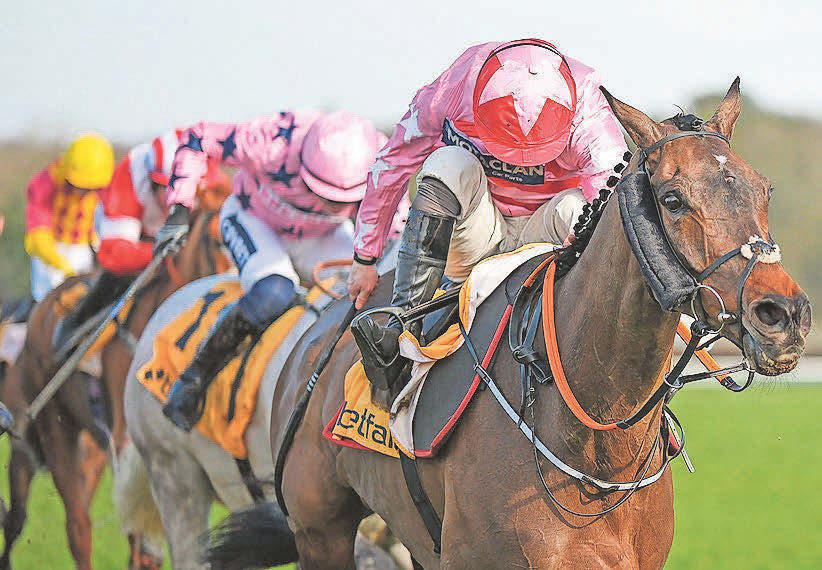 It's all systems Go for Dante to defend Imperial Cup crown