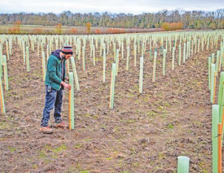 National Trust's Wimpole Estate faces hay shortage as drought stalls grass growth, forcing livestock onto winter feed months early; meadows yield nothing