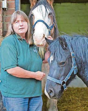 Special fashion show in aid of horse sanctuary