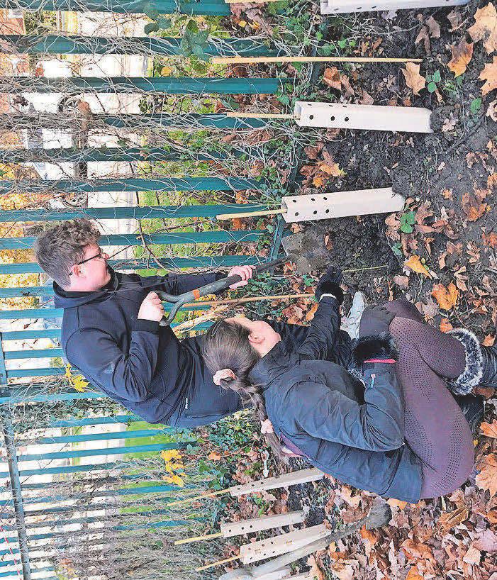 Grants available for projects to help in fight against loss of biodiversity in the county
