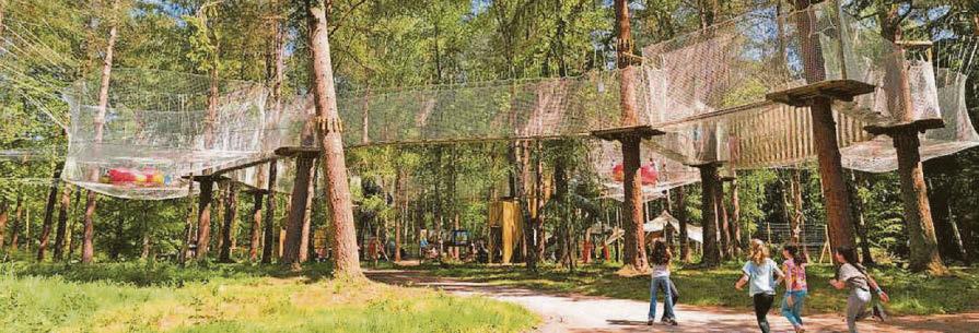 Go Ape casts a wide net with new attraction