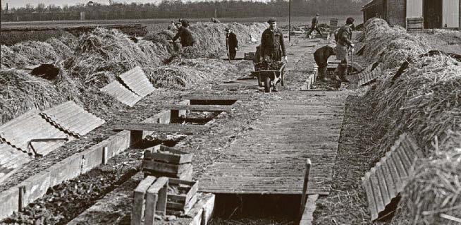 Heathrow... before it took off