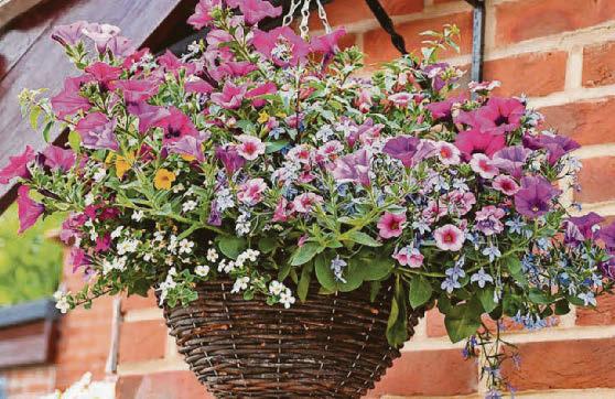 IT'S HIGH TIME FOR SUMMER