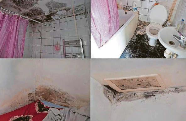 'It feels like the landlord has abused us in their treatment'