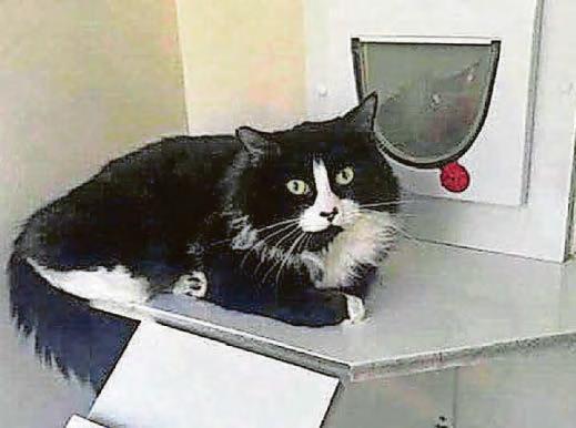 We've been black-listed!