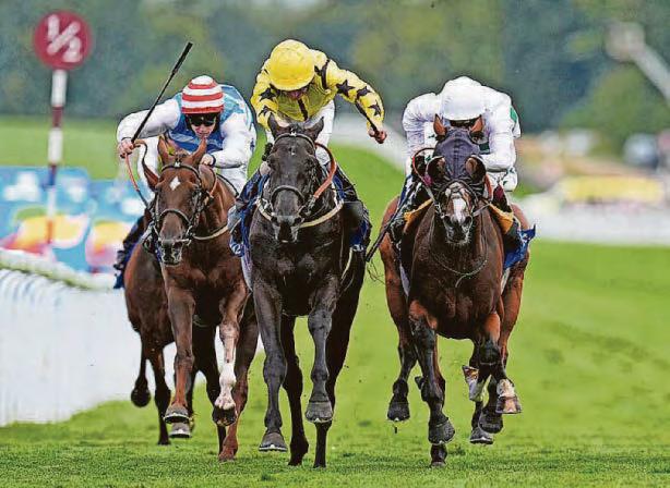 Stars look to be aligned at Musselburgh
