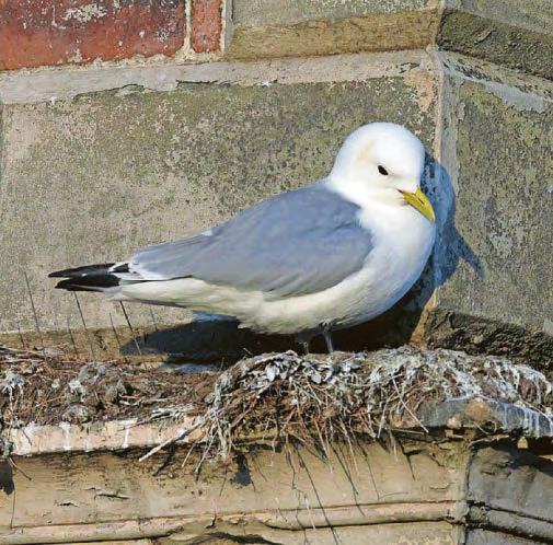 GO WILD WITH ERIC PAYLOR