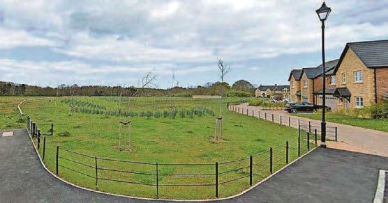 245-home plan 'will add £6.9m to local economy'