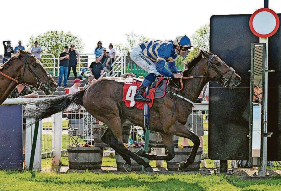 Ed aims to strike Gold on Cup's anniversary