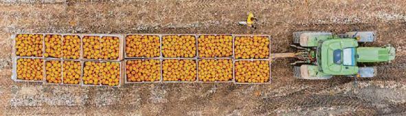Tax change 'distracting' farmers from environmental impact focus