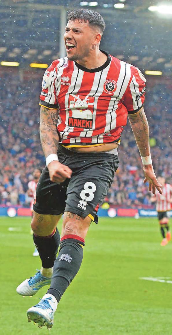 Hamer is set to deliver hammer blow to Blades