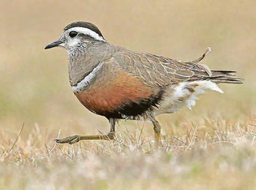 GO WILD WITH ERIC PAYLOR