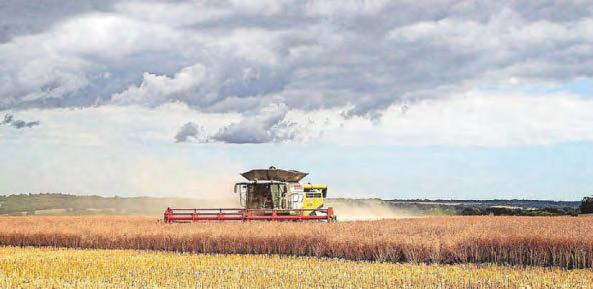 Cutting nature-friendly farming budget would be 'devastating'