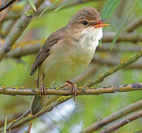 GO WILD WITH ERIC PAYLOR