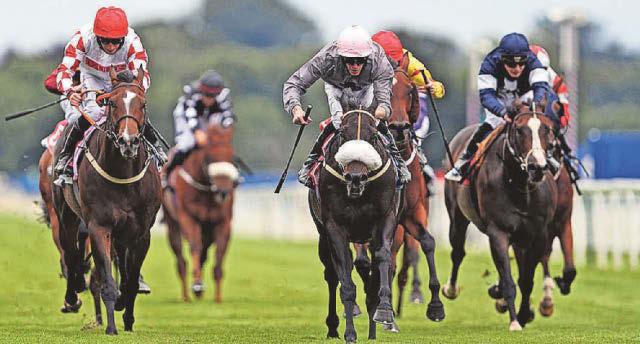 HORSE POWER Veteran can roll back the years at Nottingham