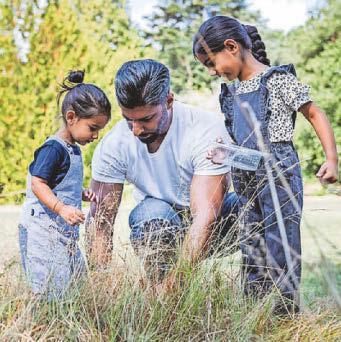 A summer tree-for-all