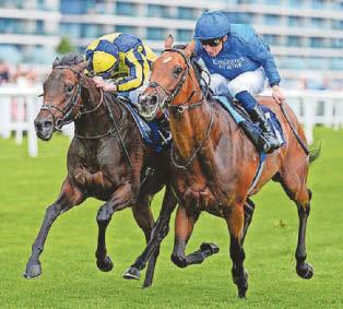 HORSE POWER Is now the Time To Turn to Appleby for Ascot runner?