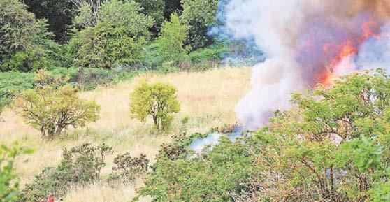 '40 fires in one month' on Eston Hills as plea issued to parents