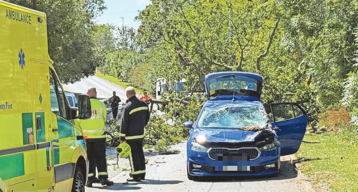 Tree falls on car as summer storm hits