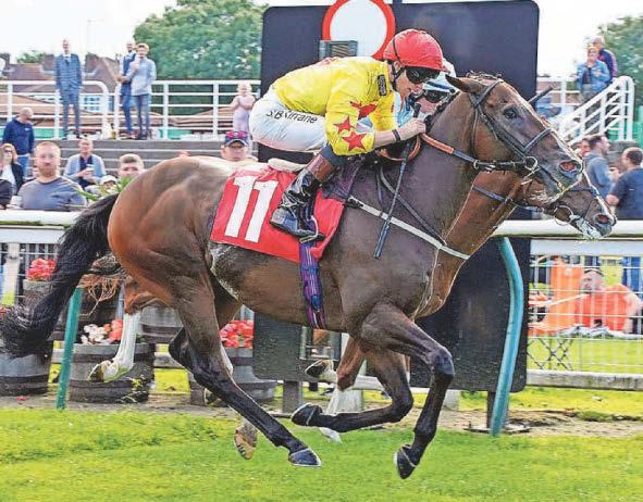 Easterby's Jewel set to sparkle again at Redcar