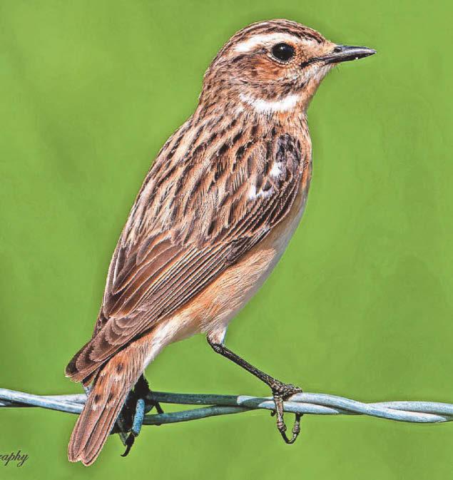 GO WILD WITH ERIC PAYLOR