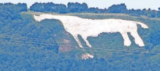 St George's Cross painted on loved Kilburn Horse