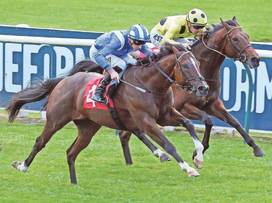 Newmarket trek pays off well for the Gosdens