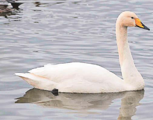 GO WILD WITH ERIC PAYLOR