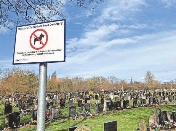 More choice of burials needed