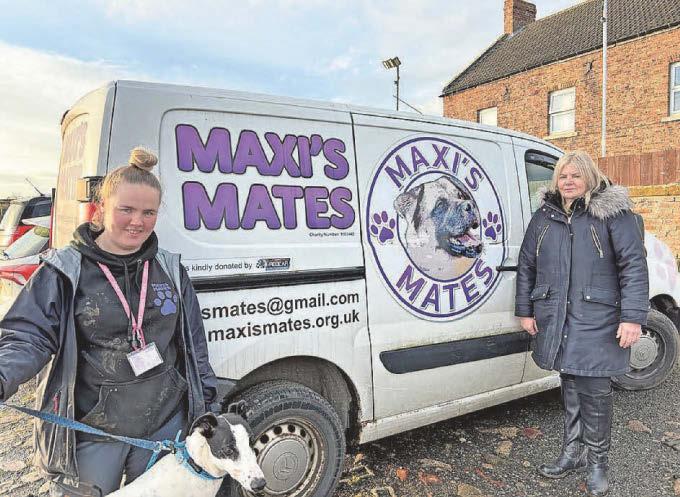 Charity for abandoned dogs make urgent cash appeal