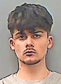 Teenager bit PC's arm for 15 seconds