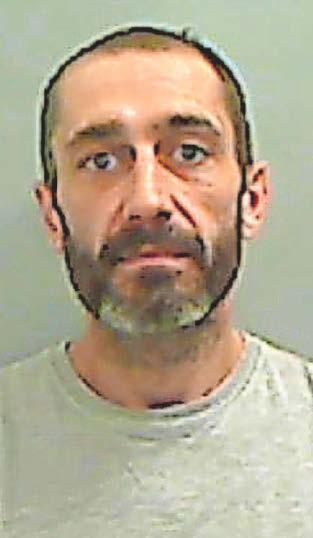 Owner jailed after danger dog bit arm of passer-by
