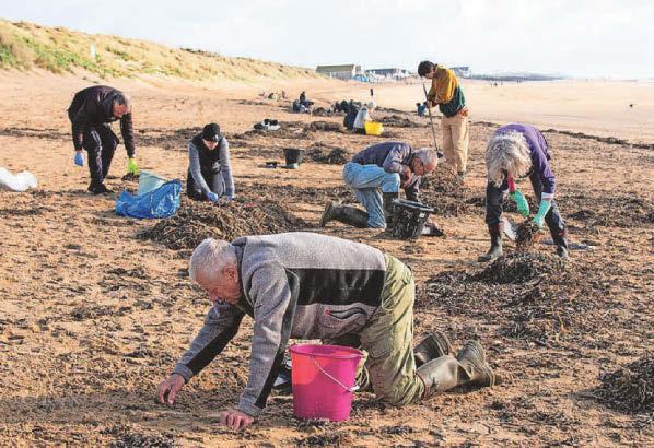 Pellet pollution on beach 'likely' to be from water treatment plant