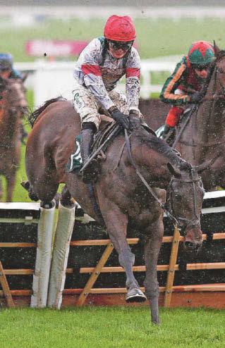 HORSE POWER Nom better than this for Leicester novices' hurdle